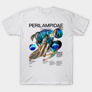 PERILAMPIDAE T-Shirt